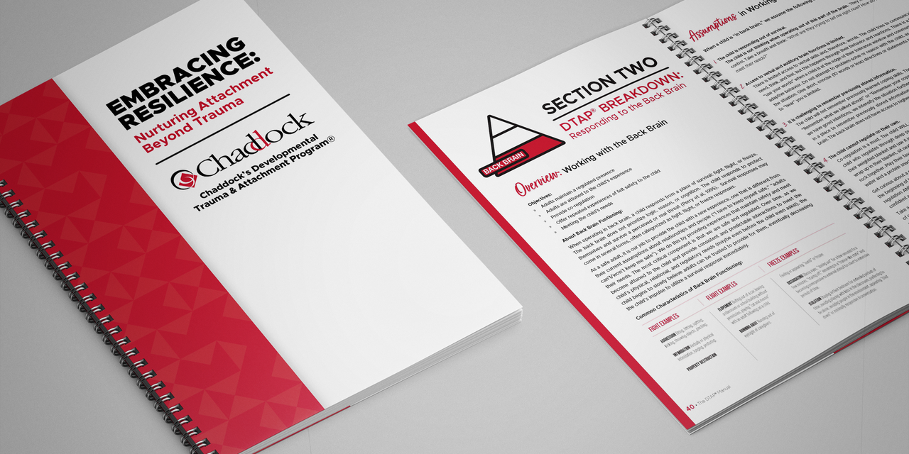 Embracing Resilience: Nurturing Attachment Beyond Trauma book